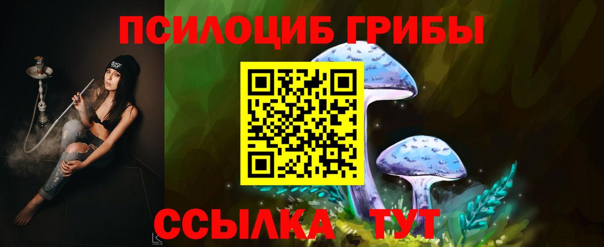 Борисоглебск  Галлюциногенные грибы Psilocybine cubensis  что такое   Псилоцибиновые грибы ЛСД  Вход с VPN 
